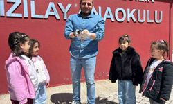 Anaokulunun misafiri 'Fındık' 6 yavru dünyaya getirdi