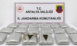 Antalya'da jandarmadan uyuşturucu operasyonu: 30 kilogram skunk maddesi ele geçirildi