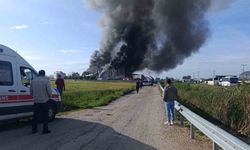 Antalya'da patates üretim tesisinde yangın