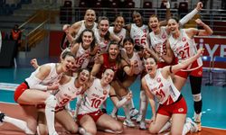 Aras Kargo, Balkan Kupası'nda