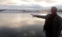 Aras Nehri baharla birlikte coştu