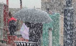 Ardahan'da kar yağışı etkili oldu