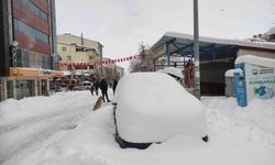 Ardahan'da nisan ayında kar sürprizi