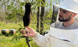 Arıcılara sahada destek