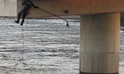 Asılı kalan güvercini halatla inip kurtardılar