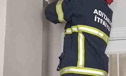 Asma tavanda sıkışan 4 yavru kedi kurtarıldı