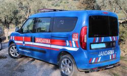 Aydın'da bir kişi ağaca asılı halde bulundu