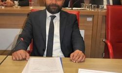 Aydın'da 'sinekle mücadele' idari yargıya taşınıyor