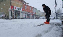 Baharı bekleyen Karlıova karlı bir güne uyandı