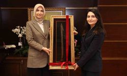 Bahşılı Kaymakamlığından kadınların gelişimine yönelik örnek proje