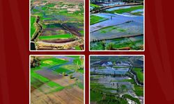 Baki Ersoy'dan Tarım ve Orman Bakanlığı'na 'taşkın soru önergesi'