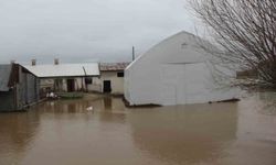 Baraj taştı, köy tamamen sular altında kaldı