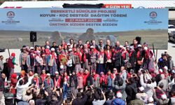 Başkan Çavuşoğlu'nun hayvancılık hamlesine üreticiden tam not