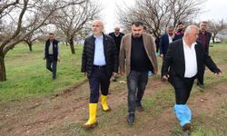 Başkan Er, dolu afetinden zarar gören ilçeleri ziyaret etti
