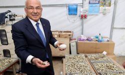 Başkan Güler: 'Ordumuza yeni bir sektör hazırlıyoruz'