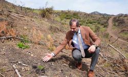 Başkan Işık'tan yeşil Gürsu çağrısı