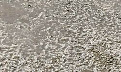 Batman'da dolu etrafı beyaza bürüdü