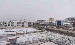 Bayburt'un köylerinde kar ve sis etkili oldu