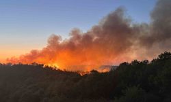 Beykoz'da 3 hektarlık alan küle döndü: Yangına müdahale devam ediyor