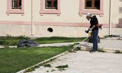 Bilecik'te çim biçme çalışmaları başladı