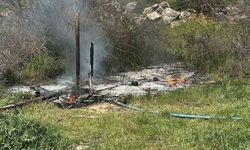 Bilecik'te otluk alanda çıkan yangın korkuttu