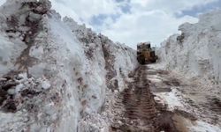 Bingöl'de nisan ayında metrelerce karla mücadele