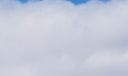 Bingöl'de yuvasında görüntülenen kızıl tilki mest etti