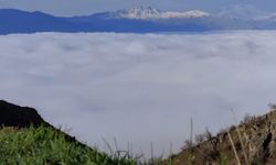 Bir mahalle sis denizinde kayboldu