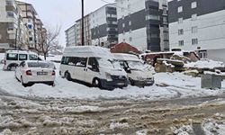 Bitlis'te kar yağışı nedeniyle 82 köy yolu ulaşıma kapandı