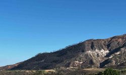 Buldan'da 5 gün süren yangının izleri dağlarda kaldı