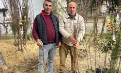 Buldan'ın bereketli toprakları fidanlarla canlanıyor