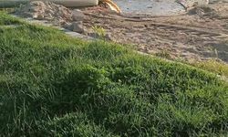 Burhaniye'de denize akan pis sular tepkiye neden oldu