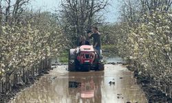Bursa'da yüzlerce dönüm şeftali ve armut bahçesi su altında