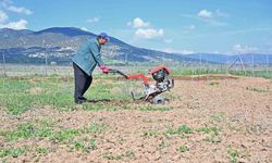 Büyükşehir ipek böceği yetiştiriciliğini yaygınlaştırıyor