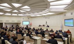 Büyükşehir Meclisi'nde Bakan Tekin'e paye, çiftçiye destek