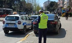 Büyükşehir'den park ihlallerine karşı kapsamlı denetim
