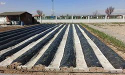 Büyükşehirin Doğal Ürünler Bahçesi ve Pazarı'nda yeni sezon hazırlığı