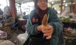 Çanakkale'de dağ köylerinde kuzugöbeği gelir kapısı oldu