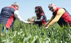 Çanakkale'de ekili ve dikili alanlarda kontroller devam ediyor