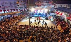 Çilek Festivali için geri sayım başladı