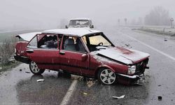 Çorum'da otomobil tabelaya çarptı: 1 yaralı