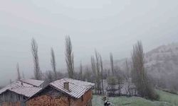 Çorum'un yüksek kesimlerinde kar yağışı etkili oluyor