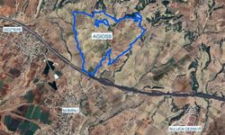 Dağlı: 'Gıda İhtisas OSB' uzun vadeli stratejik kazanımlar sağlayacak