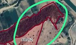 Definecilerin hedefi olan Derbent sit alanı ilan edildi