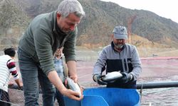 Denizi olmayan Erzurum'da yılda 300 tona yakın balık üretiyorlar