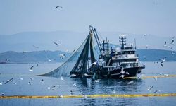 Denizlerde av yasağı 15 Nisan'da başlıyor