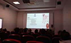 Denizli'de pet shoplara eğitim desteği verdi