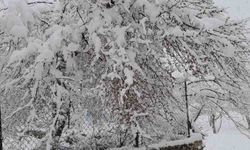 Denizli'nin yüksek kesimleri baharda beyaza büründü