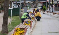 Didim turizm sezonuna hazırlanıyor