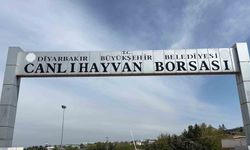 Diyarbakır Canlı Hayvan Borsası tadilata alındı